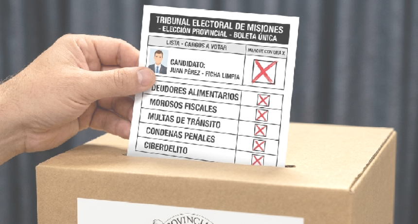 Puerto Libertad declar&oacute; de Inter&eacute;s Municipal el proyecto provincial de "Ficha Limpia"